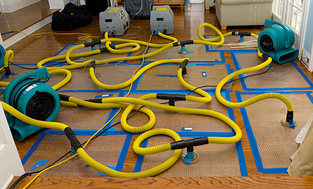 Professional Water Damage Repair technician working in Newberry, FL